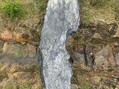 -素山寺森林公园