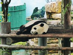 -西霞口神雕山野生动物世界