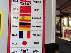-BUS TOUR观光巴士