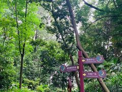 -成都市活水公园
