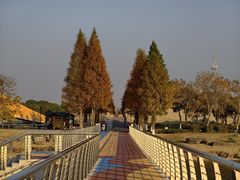 -滆湖低碳生态公园