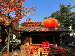 -HERRE·FARM 赫尔露营农场·团建聚会包场