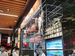 -好彩猪肚鸡(正弘城店)