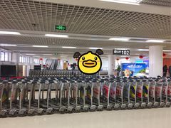 -西安咸阳国际机场-T1航站楼