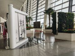 -郑州新郑国际机场-T2航站楼