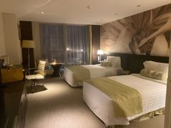 -国家会议中心大酒店