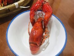 -恋拐子油爆虾·家常菜