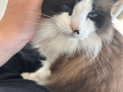 -怪兽屋·羊驼·猫咖·狗咖(俊华广场店)