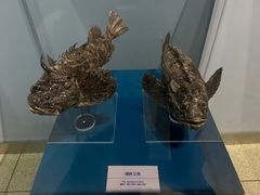 -大连自然博物馆