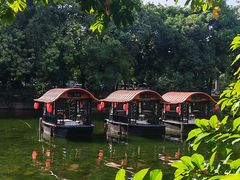 -侨美·唐荔园·40年地道粤菜