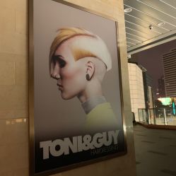 -TONI&GUY