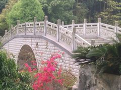 -广州市帽峰山景区