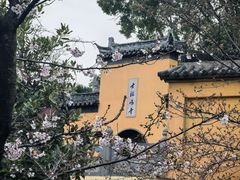-鸽味轩·粤菜小馆(高楼门总店)