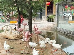 -栾川竹海野生动物园