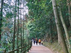 -千岛湖东南湖区