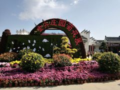 -金卉庄园