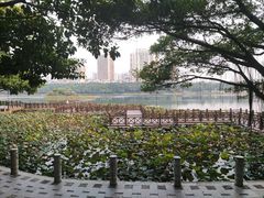 -南宁南湖公园