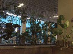 -奥帕拉拉水公园