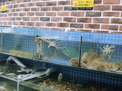 水产区-蟹谢蒸鲜自助餐厅