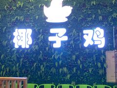 -南国锋味椰子鸡(瀚海店)