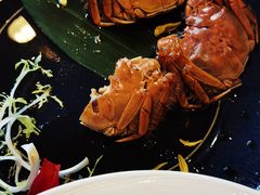 -全聚德(上海首店浦东店)