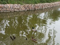 -将府公园