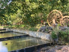 -广州白江湖森林公园