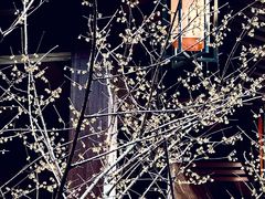 -香积寺