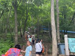 -帽儿山风景区