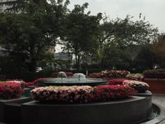 -岷山饭店-芝芝自助餐厅