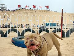 -库伦旗银沙湾旅游景区