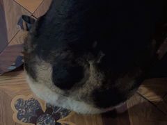 -豆蔻电影主题餐厅(四牌楼店)