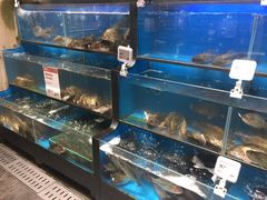水产区-盒马鲜生(皇庭广场店)
