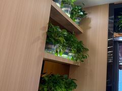 -雅酌园·烟火南京菜(颐和路店)