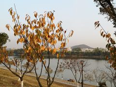 -羊山湖公园