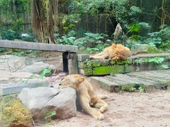 -广州长隆野生动物世界