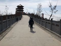 -铜川市金锁关石林