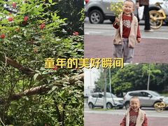 -温江公园