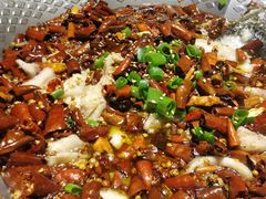 -川人百味·水煮活鱼(赛罕万达店)