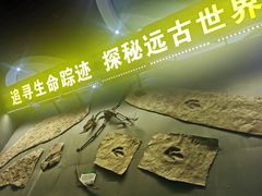 -诸城市恐龙博物馆