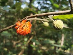 -北京西山国家森林公园