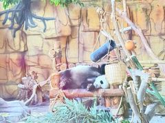 -泉州海丝野生动物世界