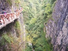 -鹿院坪生态旅游景区