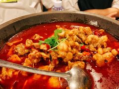 -虎虎龙虾大排档(双井店)