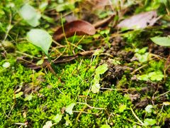 -儒之堂足道·SPA·推拿(莫干山路店)