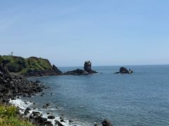 -涉地可支