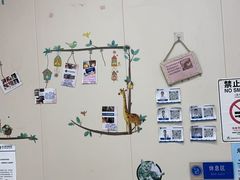 -芭比堂动物医院·24小时·眼科中心(深圳中心)