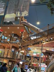 -卡通尼·Safari非洲探索乐园·生日会(金桥国际商业广场店)