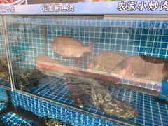 -潮香阁海鲜餐厅(较场尾店)