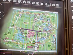 -东平国家森林公园